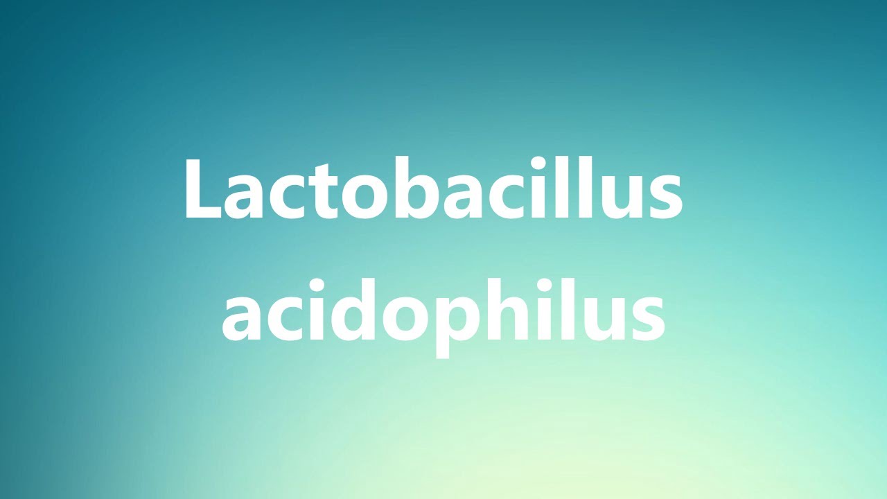 What Is Lactobacillus Acidophilus? ProbioticsEverything